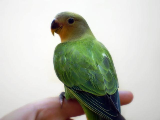Lo más bonito de mi casa =)